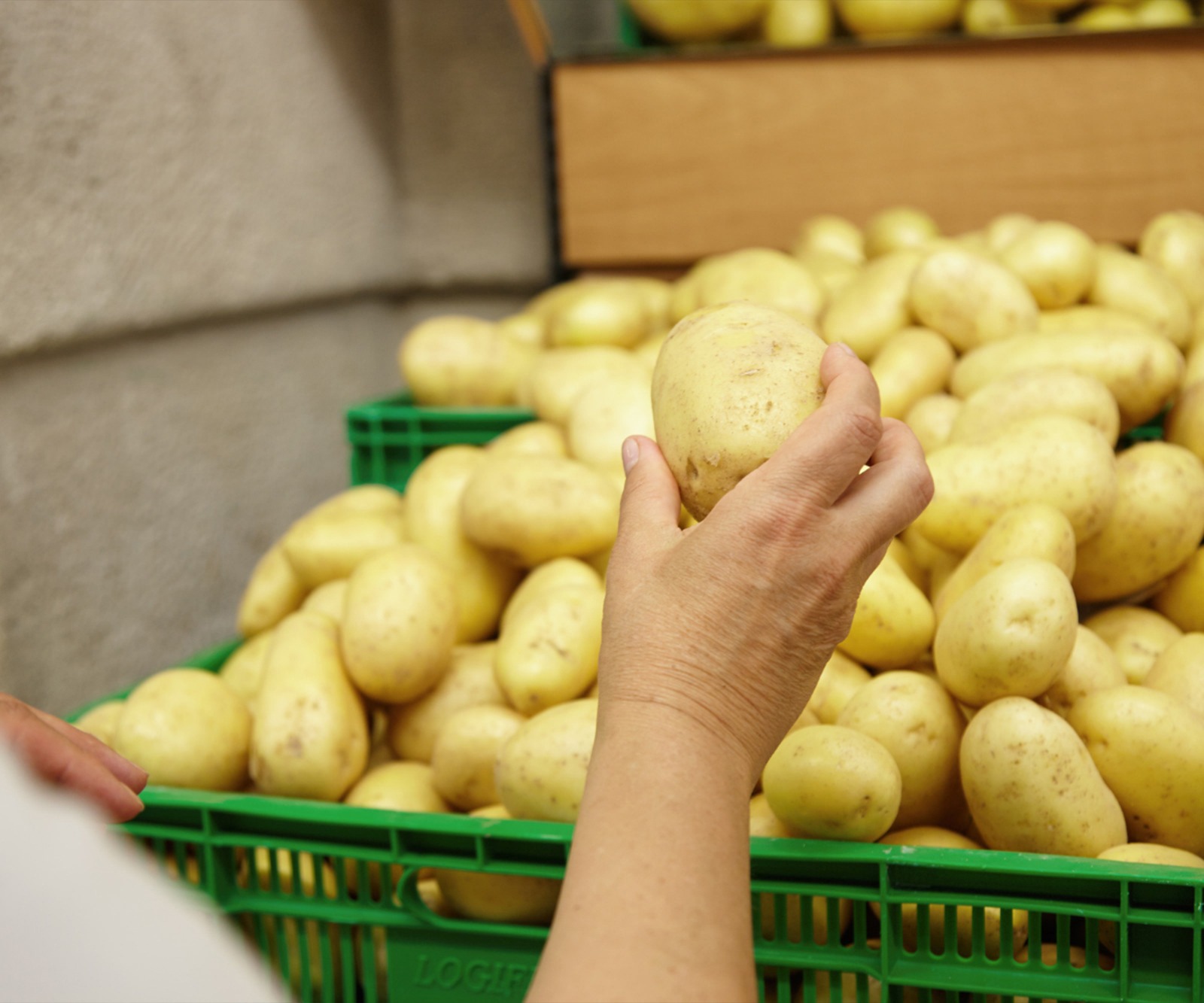 WhatsApp Image 2025-10-27 at 1.18.30 PM